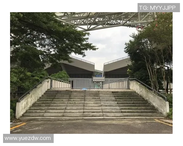 广州大学城篮球场推荐及周边设施一览适合篮球爱好者的最佳场地选择